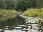 IMG 4631